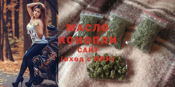 хмурый Бородино