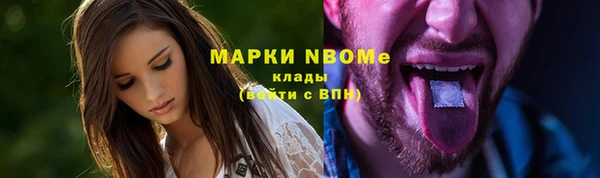 хмурый Бородино