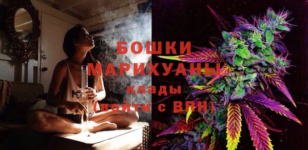 хмурый Бородино