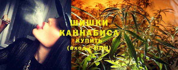 хмурый Бородино
