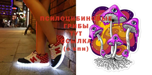 хмурый Бородино