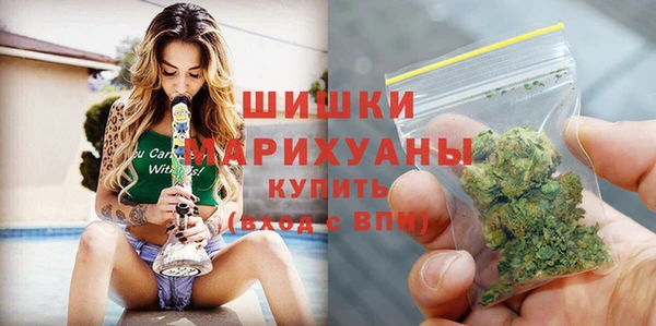 хмурый Бородино
