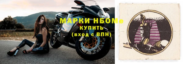хмурый Бородино
