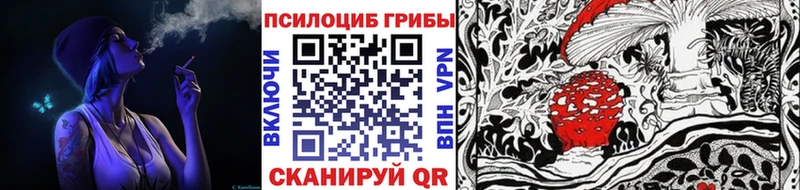Галлюциногенные грибы GOLDEN TEACHER  Купить  Плёс 
